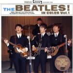 IN COLOR VOL. 1 / DVD