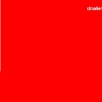 STRAWBERRIES OCEANS SHIPS FOREST / CD