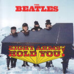 EIGHT ARMS TO HOLD YOU / CD