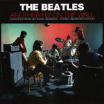 ANOTHER FLY ON THE WALL / CD